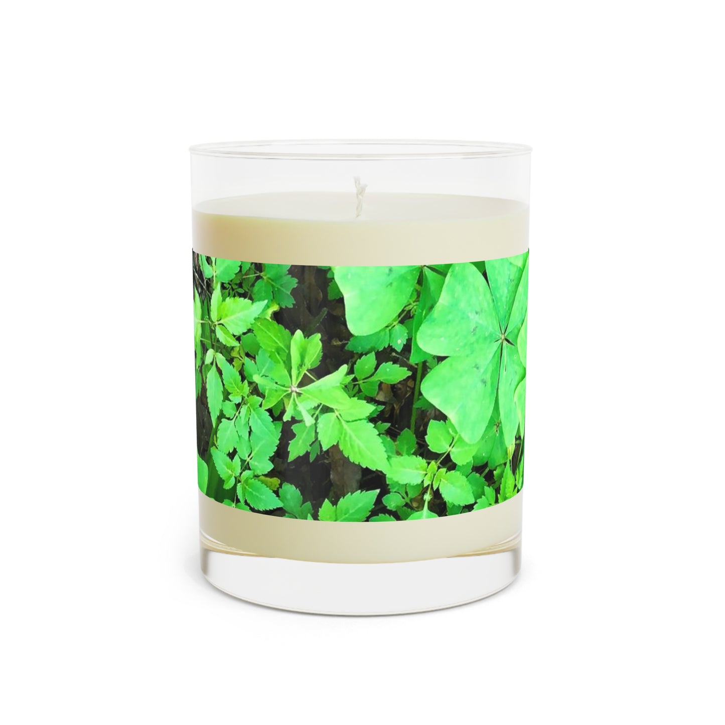 The Lucky Scented Candle - Full Glass, 11oz 🍀